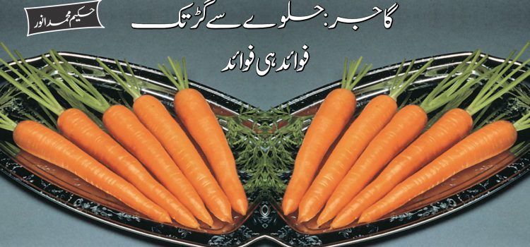 گاجر: حلوے سے گڑ تک فوائد ہی فوائد گاجر: حلوے سے گڑ تک فوائد ہی فوائد