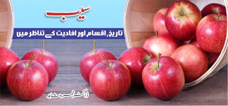 سیب تاریخ، اقسام اور افادیت کے تناظر میں سیب تاریخ، اقسام اور افادیت کے تناظر میں