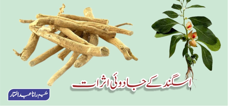 اسگندکے جادوئی اثرات اسگندکے جادوئی اثرات