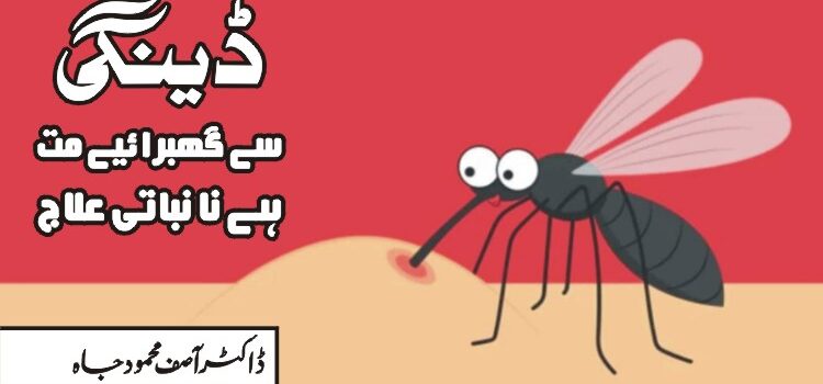 ڈینگی سے گھبرائیے مت… ہے نا نباتی علاج ڈینگی سے گھبرائیے مت… ہے نا نباتی علاج