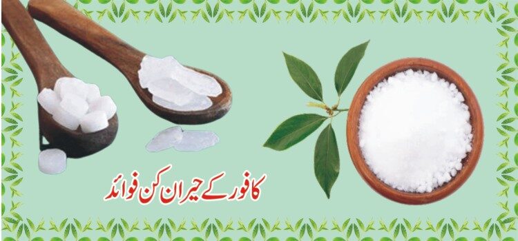 کافور کے 20ناقابل یقین فوائد کافور کے 20ناقابل یقین فوائد