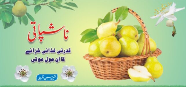 ناشپاتی : قدرتی غذائی خزانے کا انمول موتی