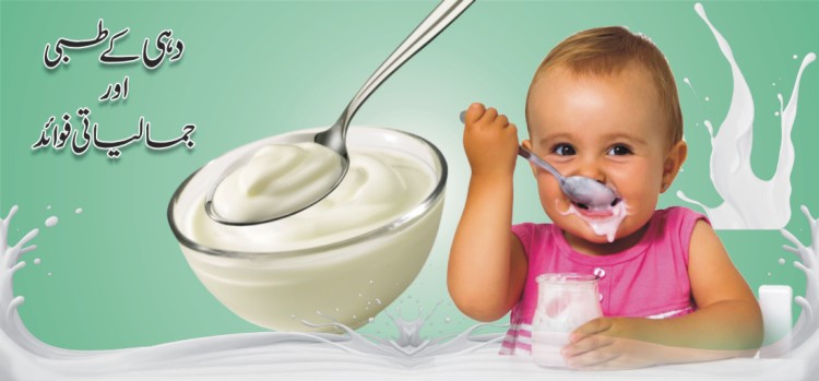 دہی کی طبی اور جمالیاتی افادیت دہی کی طبی اور جمالیاتی افادیت