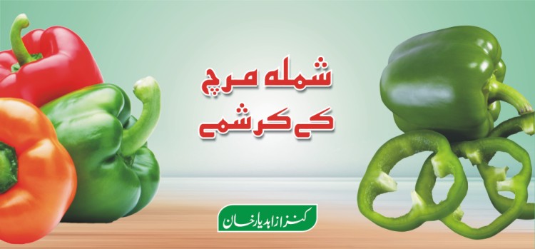شملہ مرچ کے کرشمے شملہ مرچ کے کرشمے