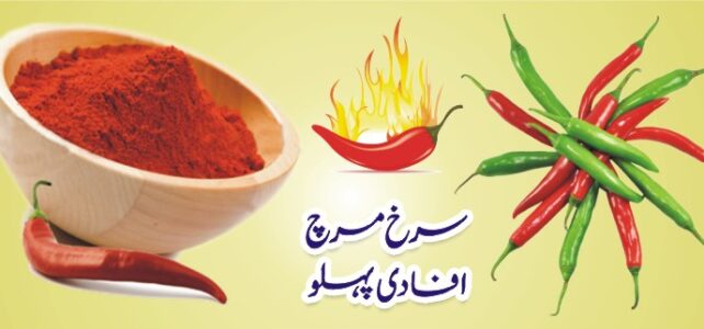 سرخ مرچ افادی پہلو