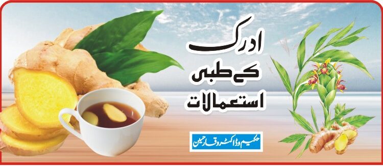 ادرک کے طبی استعمالات ادرک کے طبی استعمالات