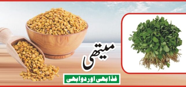 میتھی غذا بھی اوردوا بھی